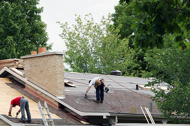 Quick and Trustworthy Emergency Roof Repair Services in Northbrook, IL